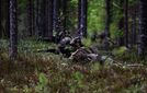 Saksalaislehti: Satelliitti­kuvat paljastavat Venäjän mittavat toimet Suomen rajan tuntumassa