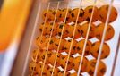 Lotossa seitsemän oikein – Tänne voittorivi napsahti
